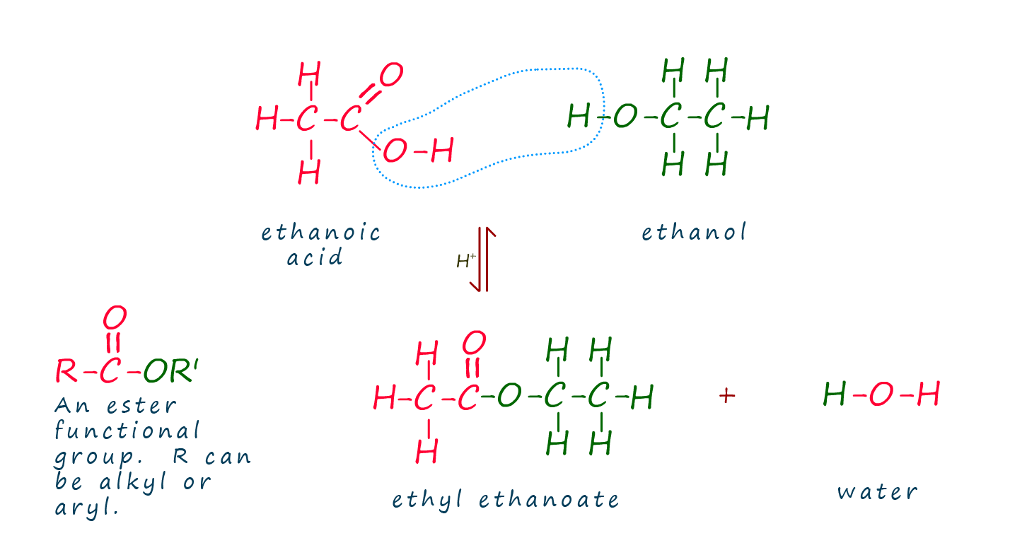 equation for the formation of ethyl ethanoate